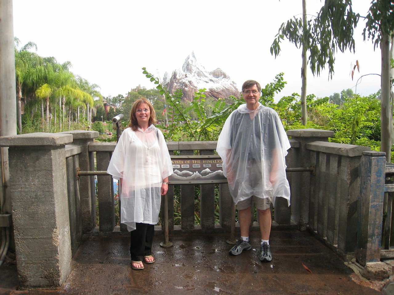 Vacation 2007-12 - Disney Parks  0739.jpg - The 2007-08 vacation to Florida included Disney World. We visited some of the larger theme Resorts along with Animal Kingdom and Disney Hollywood Studios.